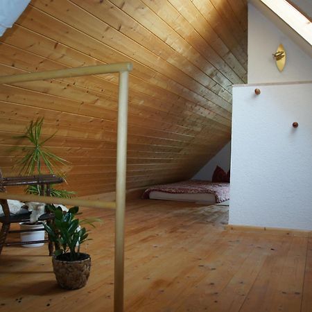 Apartament Schwalbennest Kaisitz Zewnętrze zdjęcie