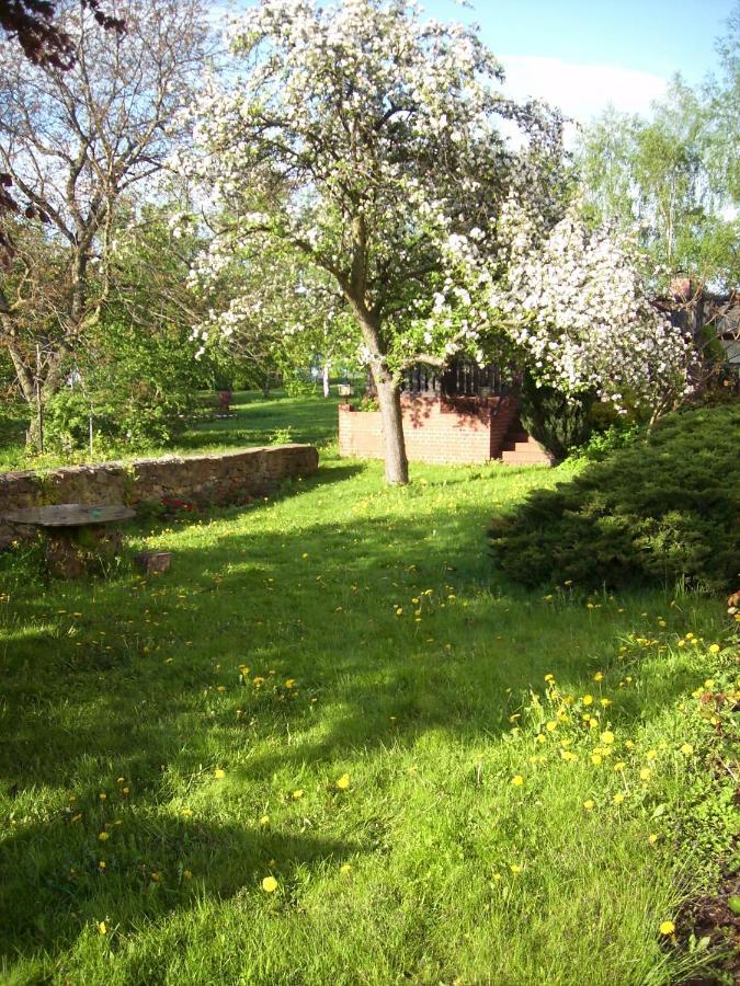 Apartament Schwalbennest Kaisitz Zewnętrze zdjęcie