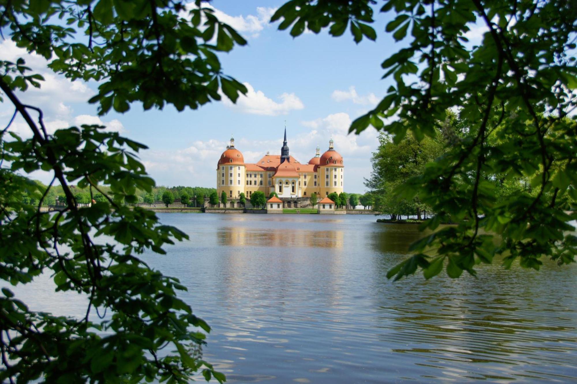 Apartament Schwalbennest Kaisitz Zewnętrze zdjęcie